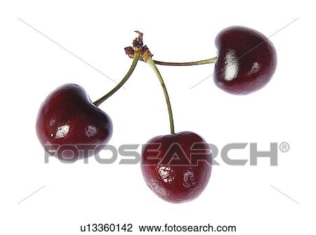 Cherries View Large Photo Image Stock Image - Cherries. Fotosearch