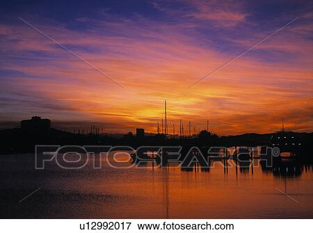 Stock Photo - Cleveland bay. Fotosearch