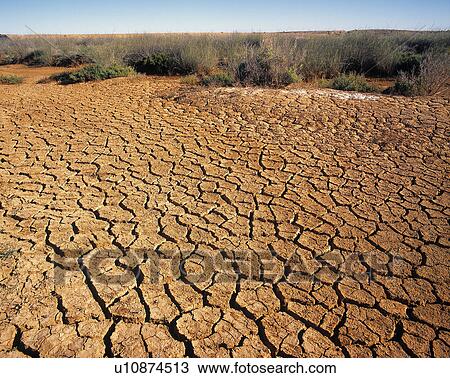 Stock Image - Dry land with grass. Fotosearch