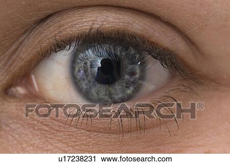 Stock Image - Eye. Fotosearch