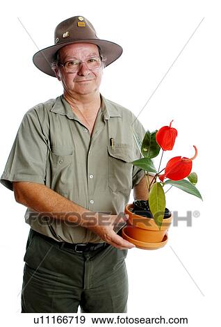 Stock Photo - Flower nursery. Fotosearch