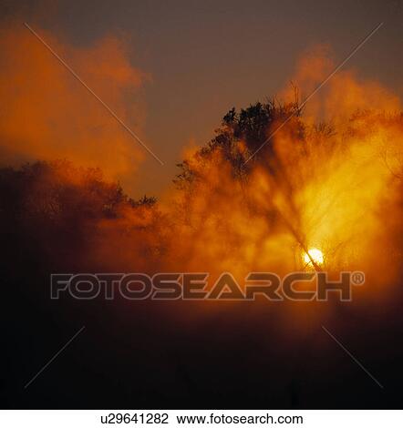 Stock Image - Foggy sunrise in the forest. Fotosearch