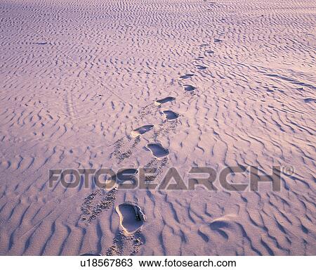 Stock Image - Footprints in the sand. Fotosearch