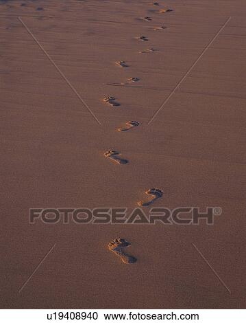 Stock Image - Footprints in the sand. Fotosearch