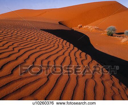Golden sand dunes View Large Photo Image Stock Photograph - Golden sand dunes. Fotosearch