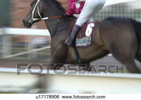 Stock Photograph - Horse and Jockey. Fotosearch