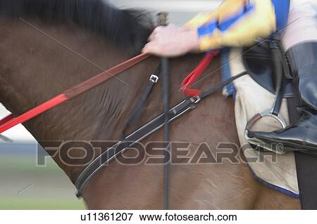 Horse flesh View Large Photo Image Stock Photo - Horse flesh. Fotosearch