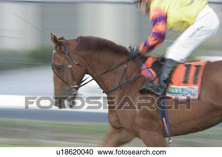 Stock Image - Horse racing. Fotosearch