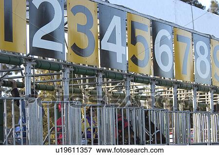 Stock Photo - Horses in the barrier. Fotosearch