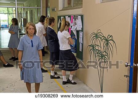 Kids at school View Large Photo Image Stock Photo - Kids at school. Fotosearch