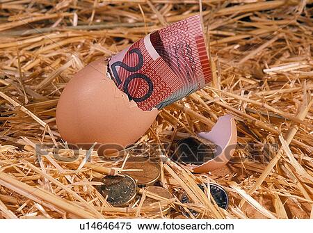 Stock Photography - Nest egg. Fotosearch