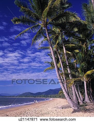 Stock Image - Palm Cove Beach. Fotosearch