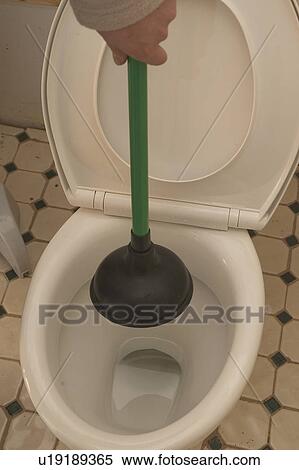 Plunging a toilet View Large Photo Image Stock Photography - Plunging a toilet. Fotosearch