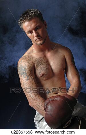 Portrait of a boxer View Large Photo Image Stock Photo - Portrait of a boxer. Fotosearch
