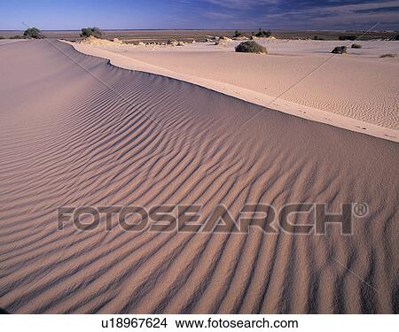 Picture - Sand dunes. Fotosearch