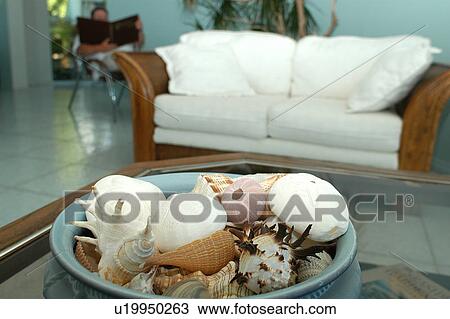 Shells on coffee table View Large Photo Image Stock Image - Shells on coffee table. Fotosearch