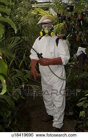 Stock Image - Spraying insecticides. Fotosearch