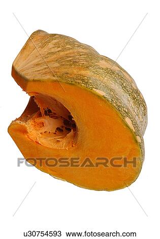 Squash View Large Photo Image Stock Image - Squash. Fotosearch