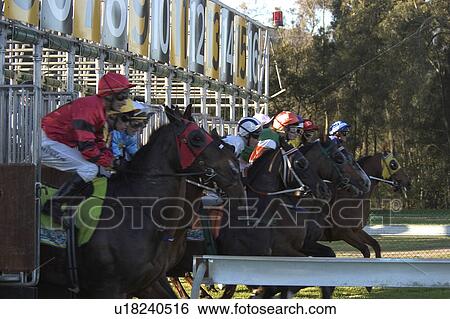 Stock Photograph - Starting gate. Fotosearch