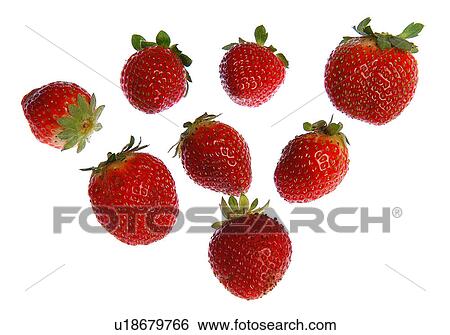 Stock Photograph - Strawberries. Fotosearch