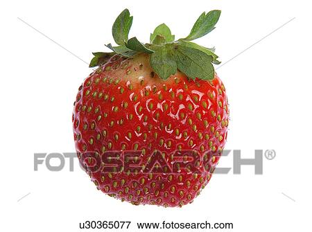 Strawberry View Large Photo Image Stock Photo - Strawberry. Fotosearch