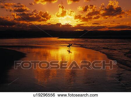 Stock Photograph - Sunset over Palm Beach. Fotosearch