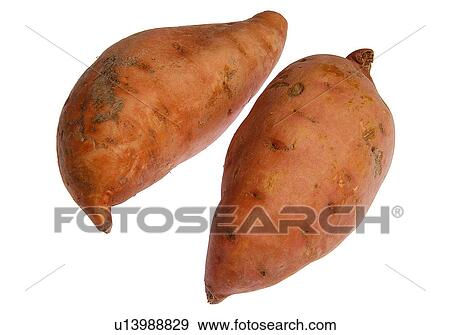Stock Photo - Sweet potatoes. Fotosearch