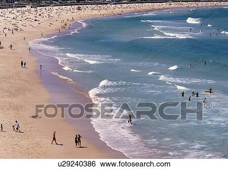 Sydney beach View Large Photo Image Stock Photograph - Sydney beach. Fotosearch