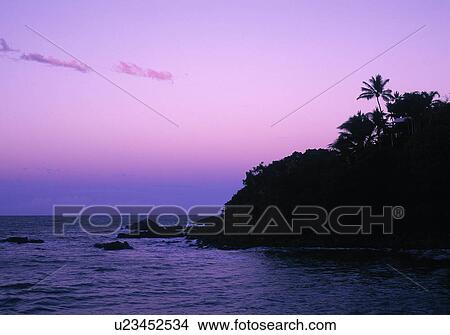 Picture - Thala Beach. Fotosearch