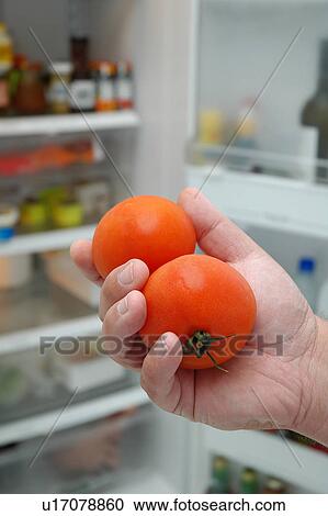Stock Image - Tomato. Fotosearch