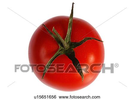 Stock Photograph - Tomato. Fotosearch