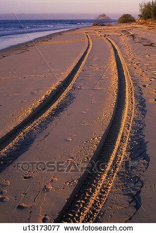 Stock Photo - Tracks in the sand. Fotosearch