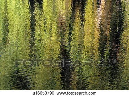 Stock Image - Trees with reflection in water. Fotosearch