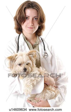 Picture - Veterinarian. Fotosearch