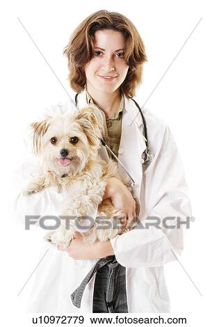 Veterinarian View Large Photo Image Stock Photo - Veterinarian. Fotosearch