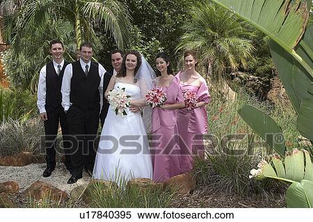 Wedding party View Large Photo Image Stock Photography - Wedding party. Fotosearch