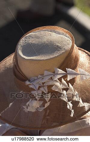 Woman's hat View Large Photo Image Stock Image - Woman's hat. Fotosearch