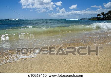 A beach in Kauai Hawaii View Large Photo Image Stock Image - A beach in Kauai Hawaii. Fotosearch