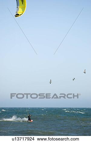 A male kite surfing View Large Photo Image Picture - A male kite surfing. Fotosearch