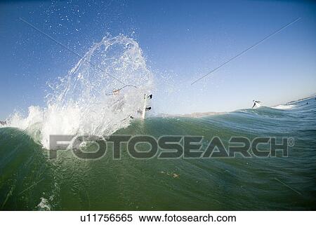 A male surfer View Large Photo Image Stock Photography - A male surfer. Fotosearch