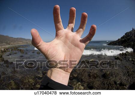 Stock Photo - A male's hand. Fotosearch