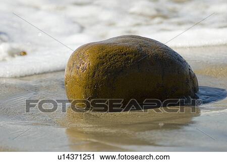 Stock Image - A rock at the tide zone. Fotosearch