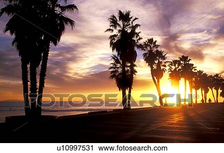 Stock Image - Amazing sunset with palm trees. Fotosearch