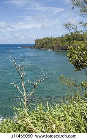 Stock Image - Bay in Princeville Kauai Hawaiian Islands USA. Fotosearch