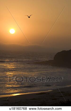 Stock Photo - Beach at sunset. Fotosearch