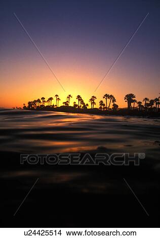 Beach at sunset with palm trees View Large Photo Image Picture - Beach at sunset with palm trees. Fotosearch