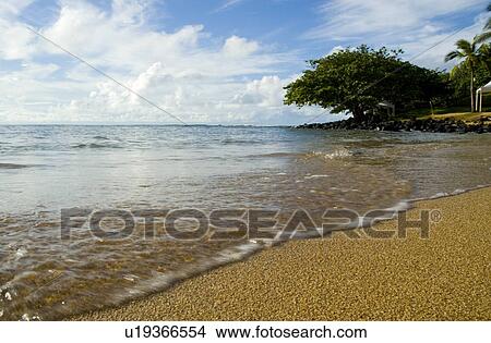 Picture - Beach at the Princeville Resort Hanalei Bay, Kauai Hawaii USA. Fotosearch