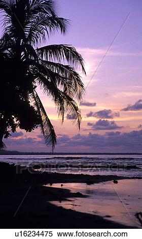 Beach sunset in Costa Rica View Large Photo Image Stock Photography - Beach sunset in Costa Rica. Fotosearch