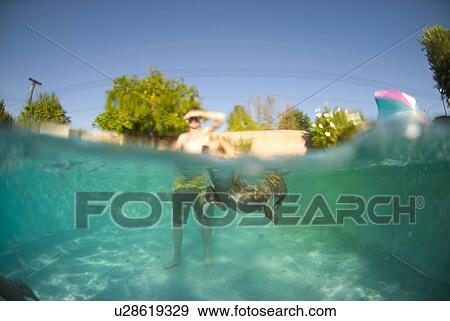 Chihuahua swimming in a pool View Large Photo Image Stock Photo - Chihuahua swimming in a pool. Fotosearch