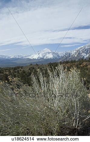 Picture - Country view. Fotosearch